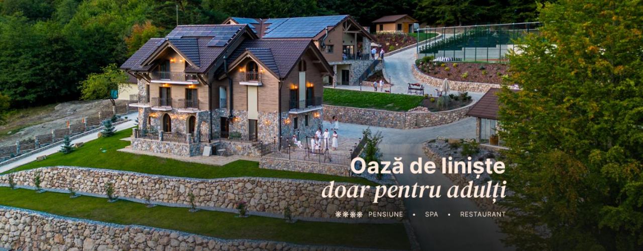 Pensiunea Vladurel - B&B
