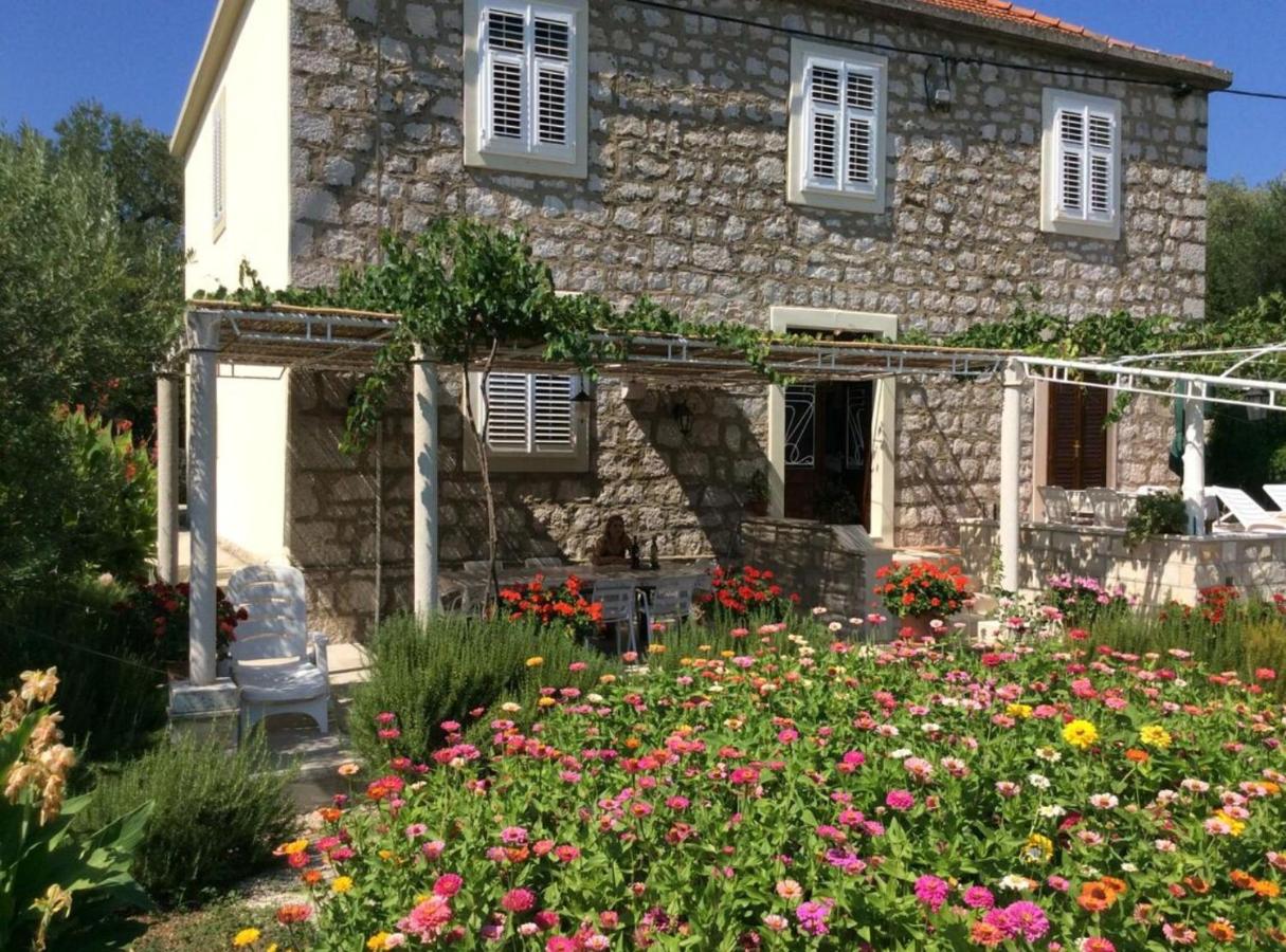 Apartment Ana Broce - B&B Broce