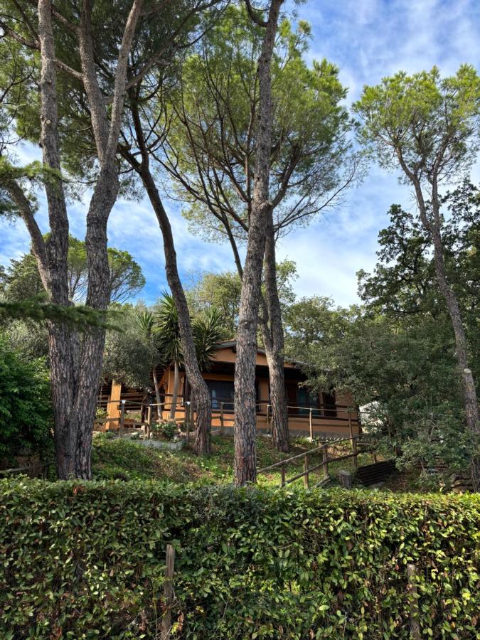 Villetta Nel Verde Vicino Mare - Bed and Breakfast