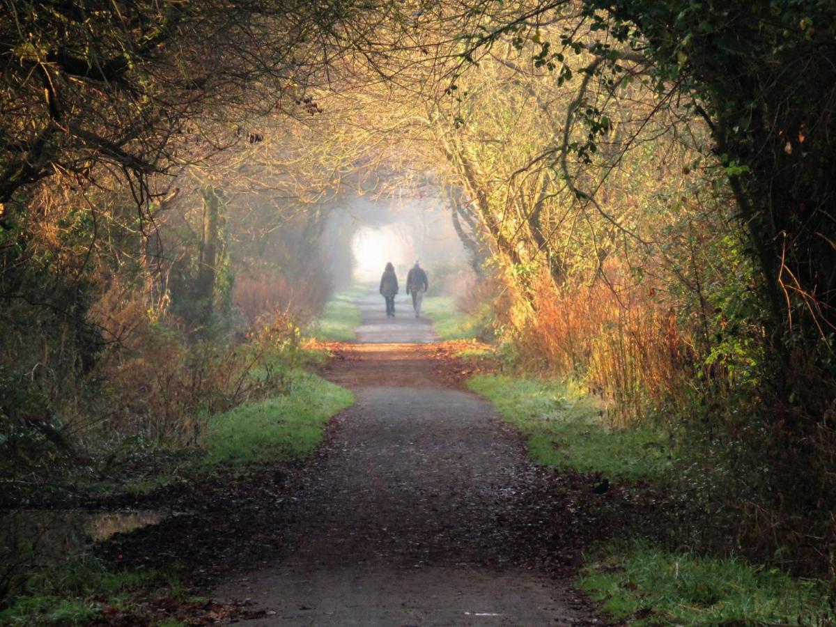 The Old Stores, a Grade II listed cottage in the delightful village of Georgeham, is ideal for beach, surfing, walking & cycling holidays - Chambres d’hôtes Georgeham