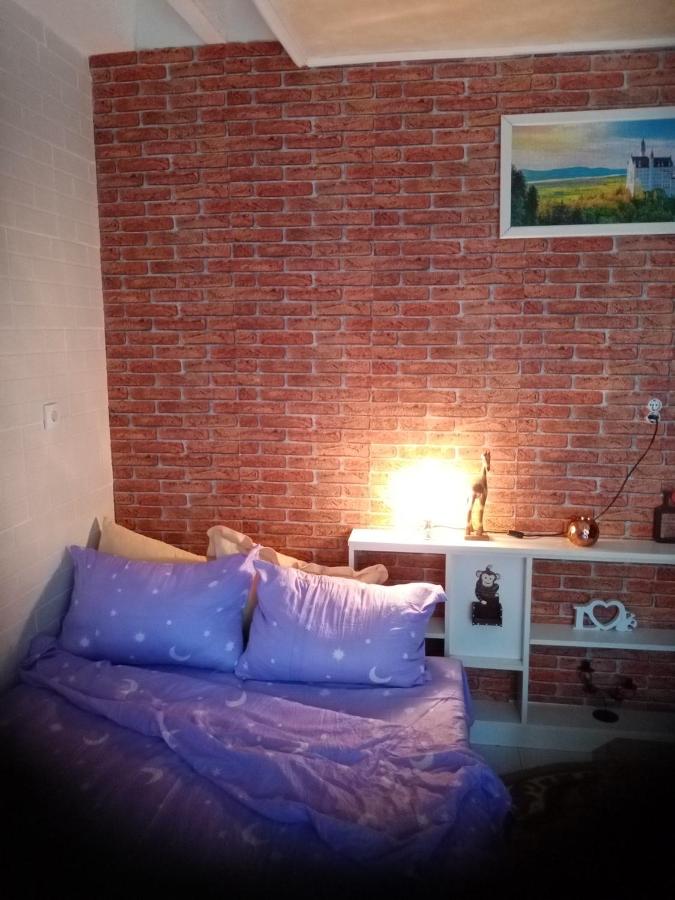 Jakovljević Apartment - B&B Belgrado