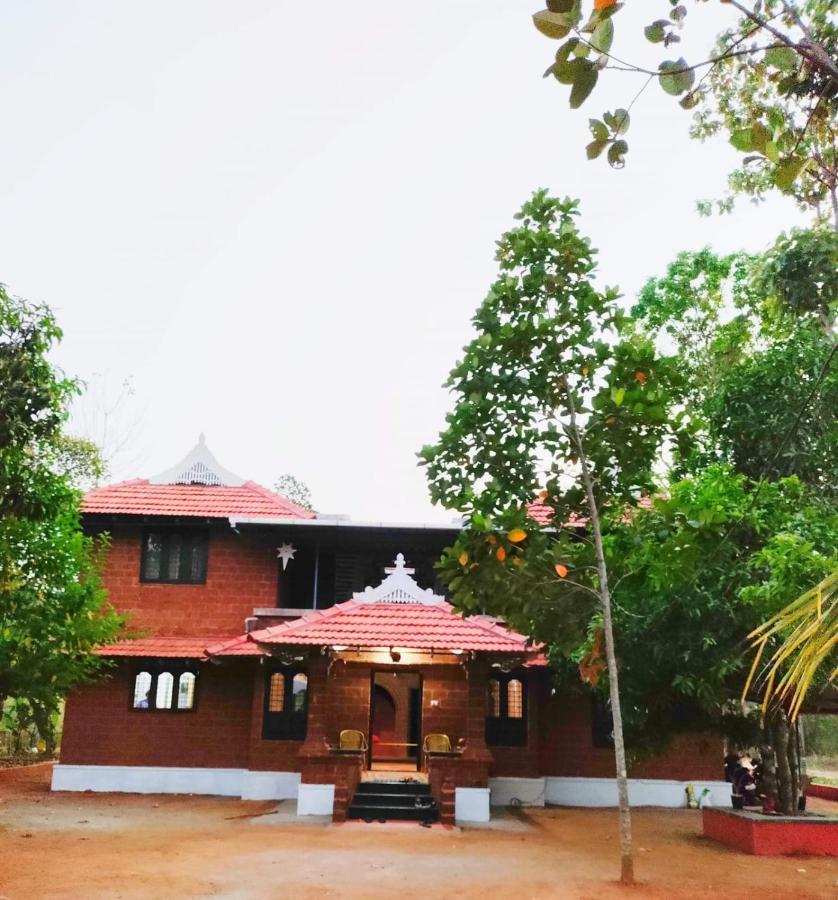Elysium Homes - B&B