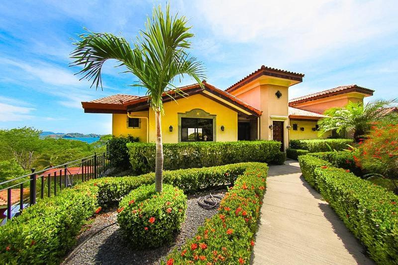 Infinity Pool, Pacific Views & Concierge - B&B Potrero