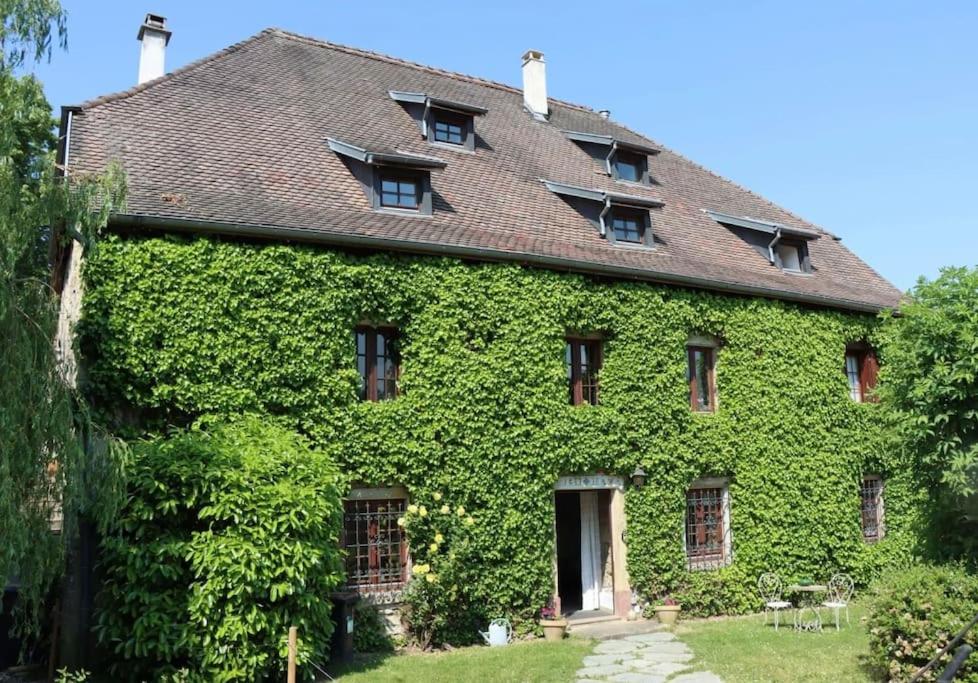 Le Moulin d'Hagenthal - B&B