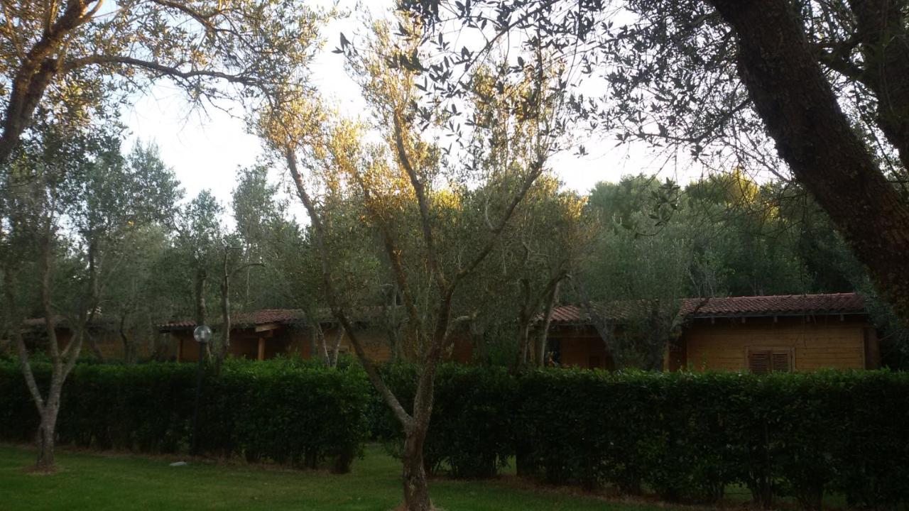 Agriturismo Lu Podere - B&B