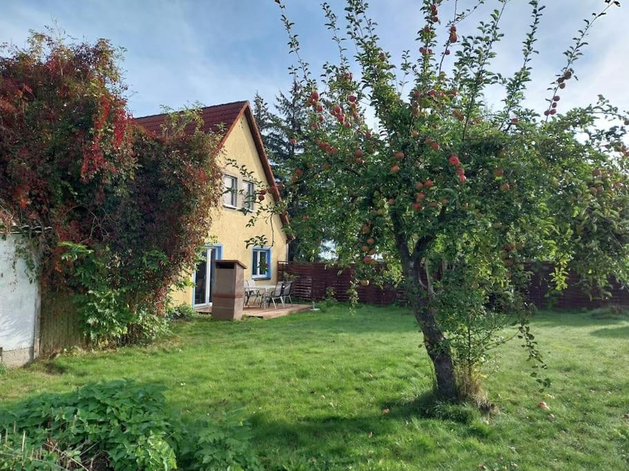 Ferienwohnung Naturglück - Ferienwohnung