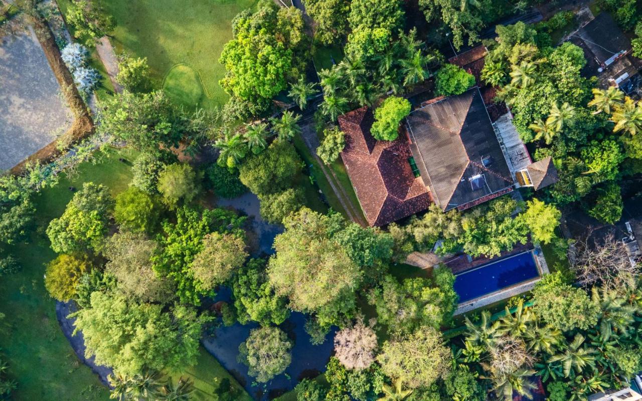 Lotus Estate Colombo - B&B