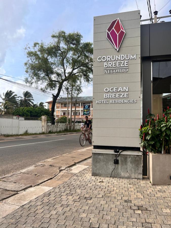 Ocean Breeze Negombo- TidesEnd Luxury Beach Apartments - B&B