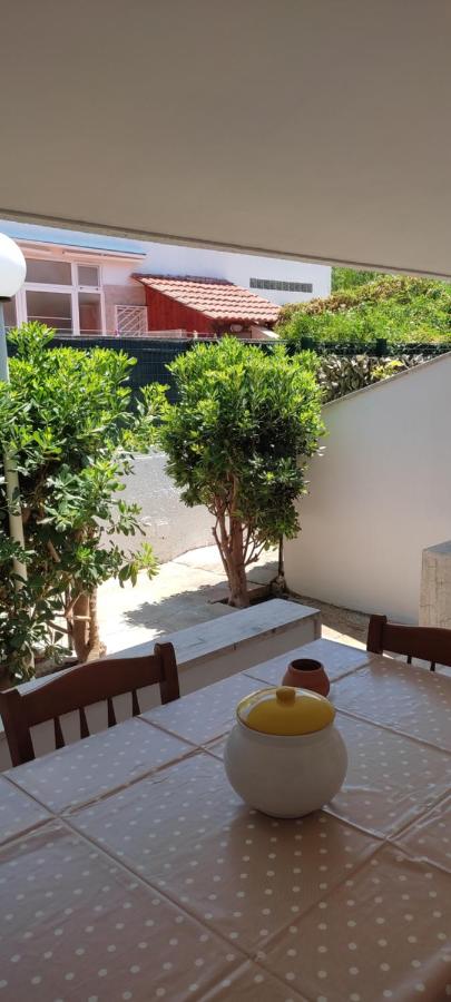 Villetta Sofia - 800m dal mare - B&B