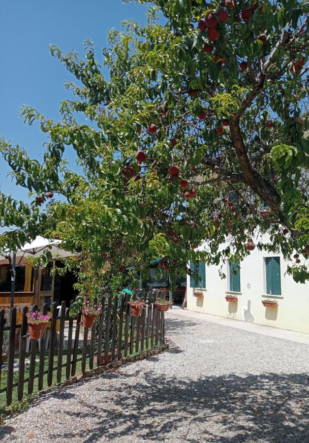 Appartamento Malcontenta - B&B Mira