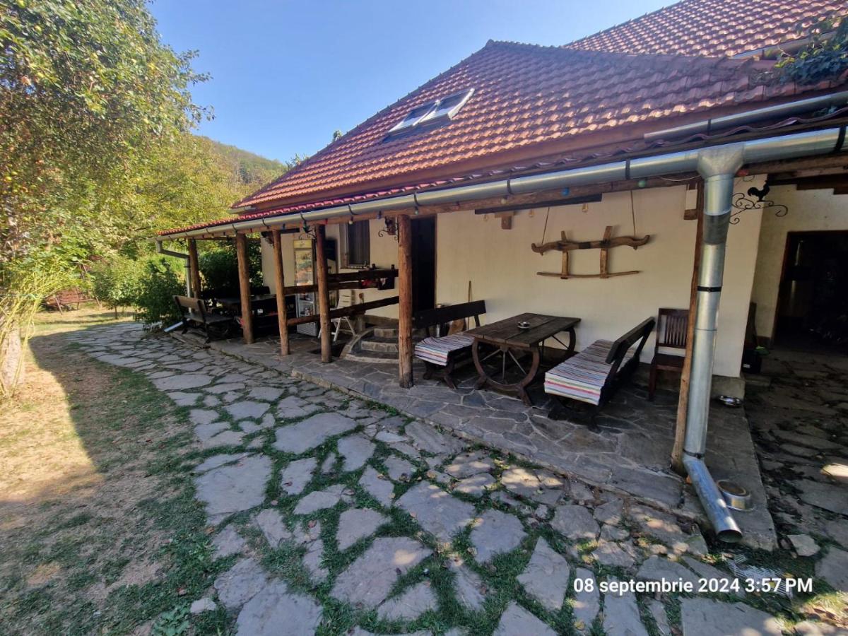 Pensiunea CASA MAXIMUS - B&B Moneasa
