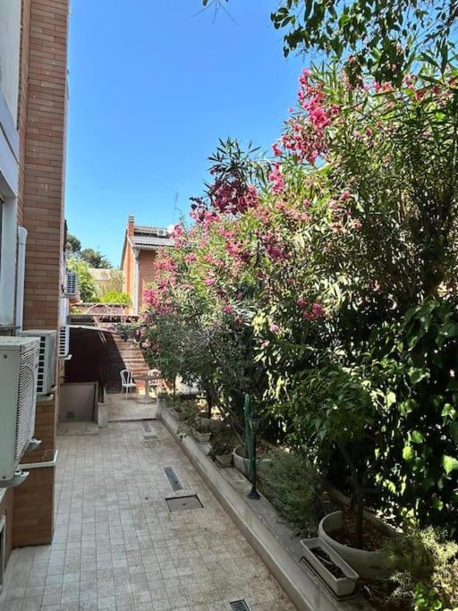 Ipponatte 29 Roma Casal Palocco - B&B