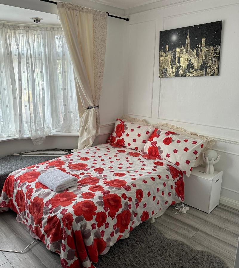 Large Single Room