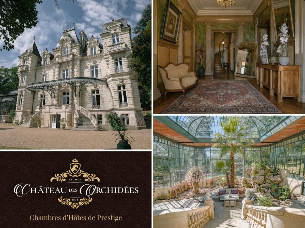 Château des Orchidées en Val de Loire - Bed and Breakfast
