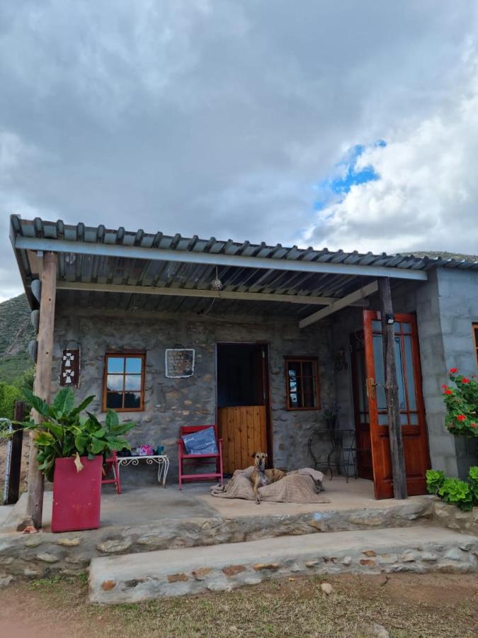 Oltmans farm stay - B&B De Rust
