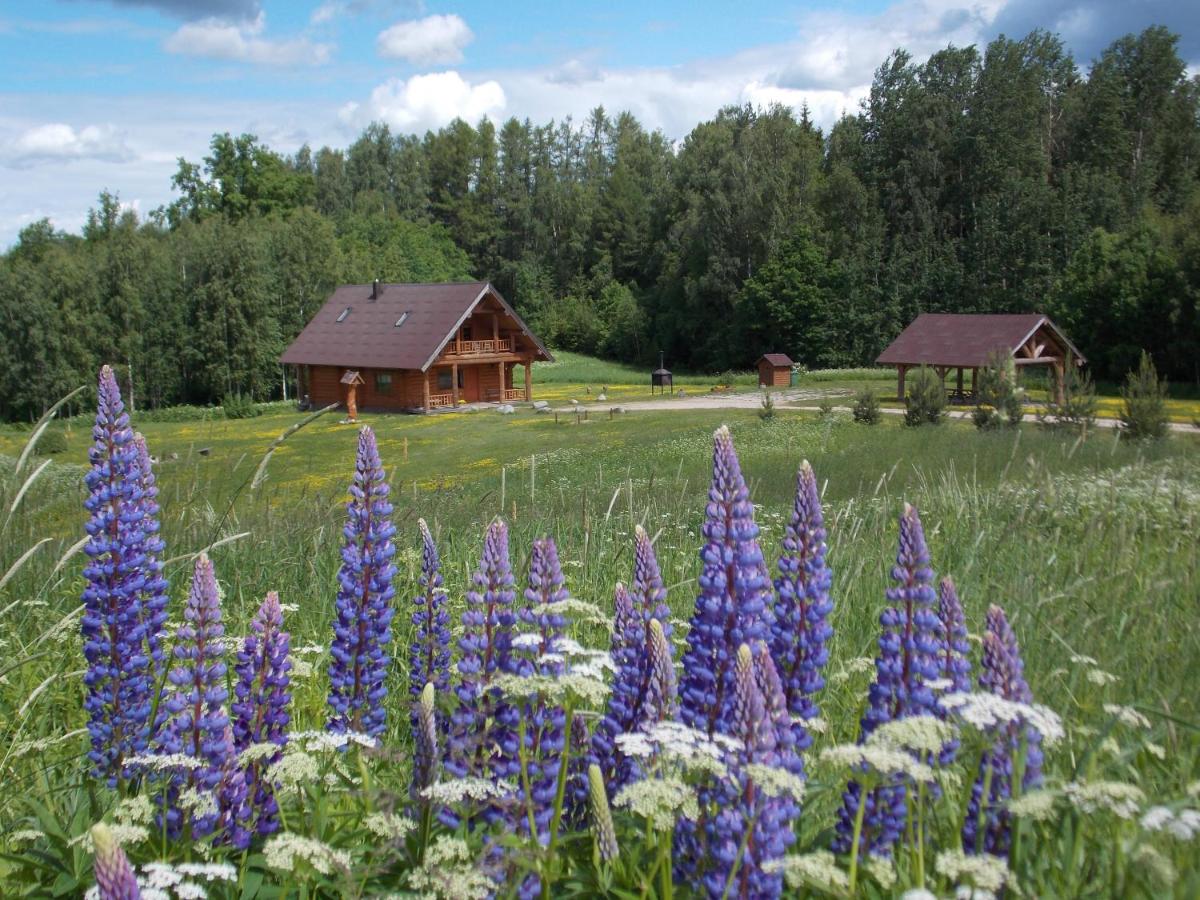 B&B Kārļi - Guest House Kalniņi - Bed and Breakfast Kārļi