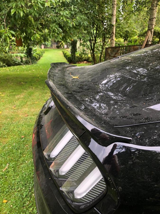 La Thibautière - Chambres d’hôtes Balasson