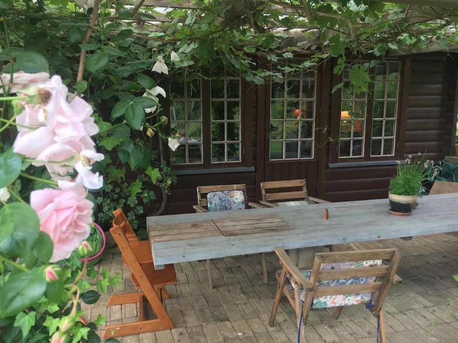 Log-House Wildernest - Bed and Breakfast Brande
