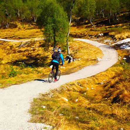 4-roms leilighet sentralt på Bortelid - B&B