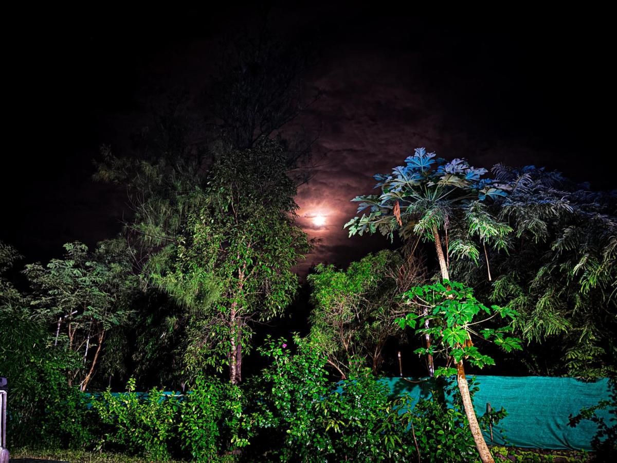 Mauli Stays - B&B