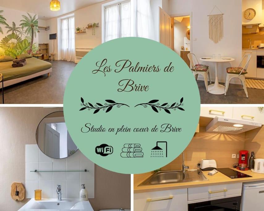 Les palmiers de Brive - Chambres d’hôtes Brive-la-Gaillarde