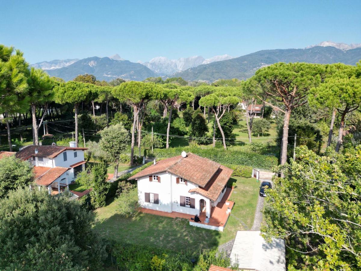 Villa Claudia - B&B Massa