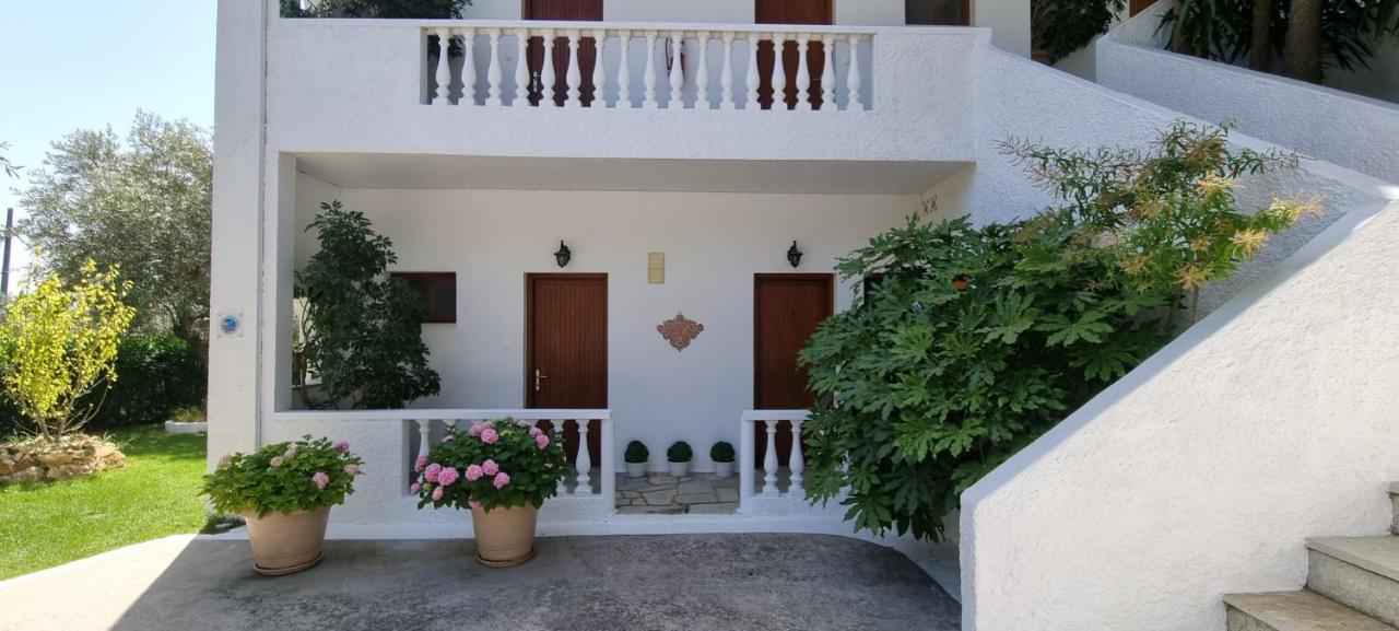 Olive Grove Studios - B&B
