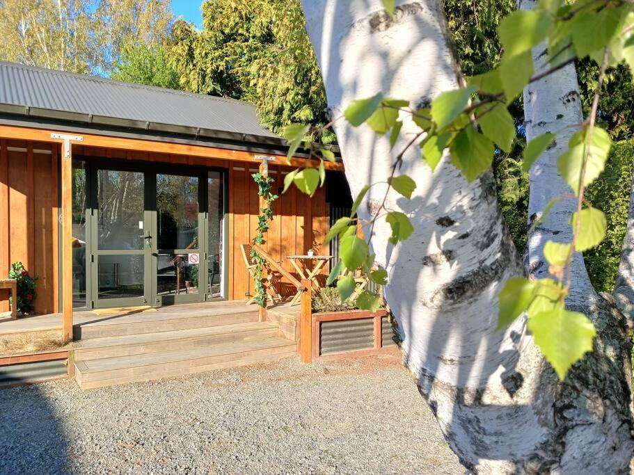 Star Gaze From Your Bed - Bed and Breakfast
