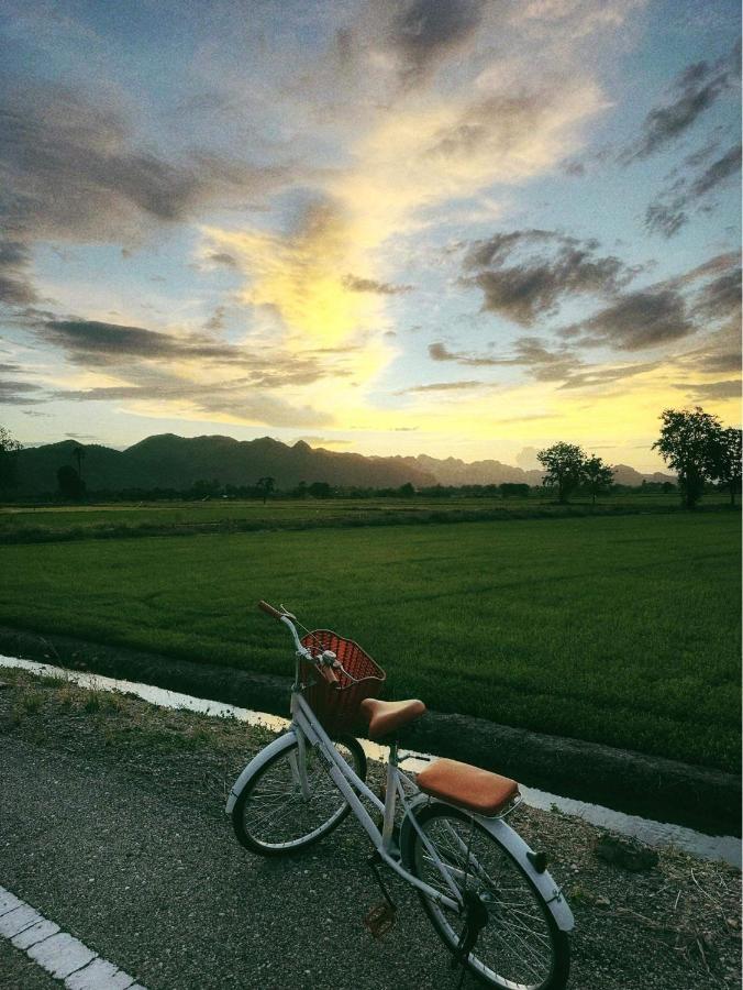 นานาก๋างโต้ง คาเฟ่&Glamping - B&B