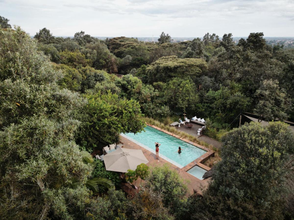 Ol Losowan Boutique Safari Home and Cottages - B&B Nairobi