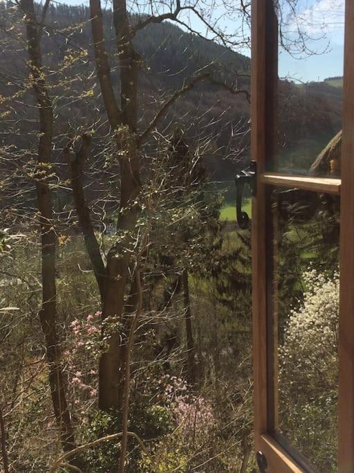 Mellow Mountain Eco Retreat Wales Hot-Tub Sauna - Ferienwohnung Llansantffraid Glyn Ceiriog