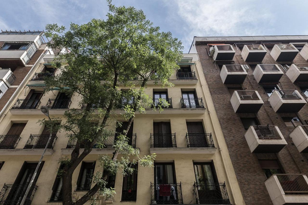 Homeclub Moderno Bajo Andrés Mellado I - B&B Madrid