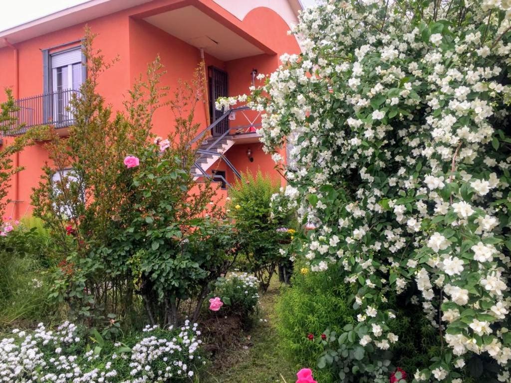 Villa oleandro - B&B