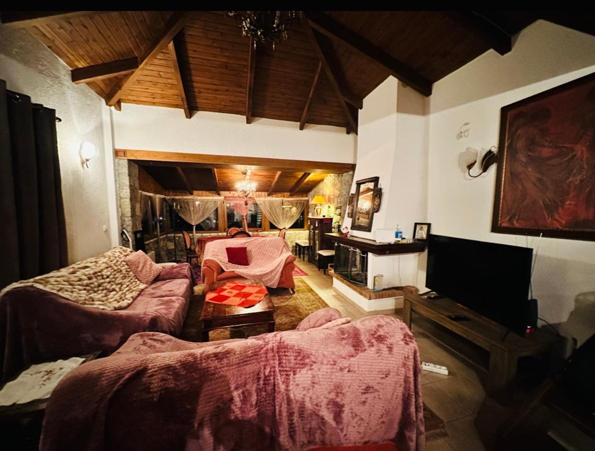 CHALET MARIA livadi - Ferienwohnung Aráchova