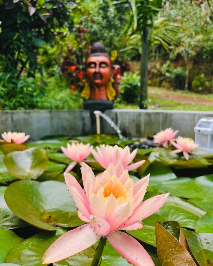 The Farmers Homestay - B&B Kakkabe