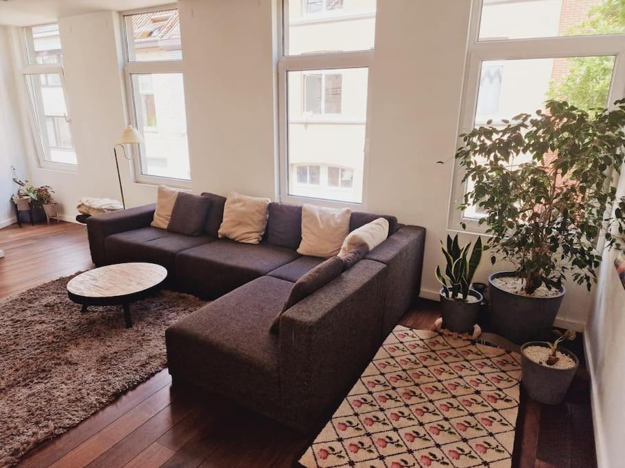 Lightful architectural house - B&B Ghent