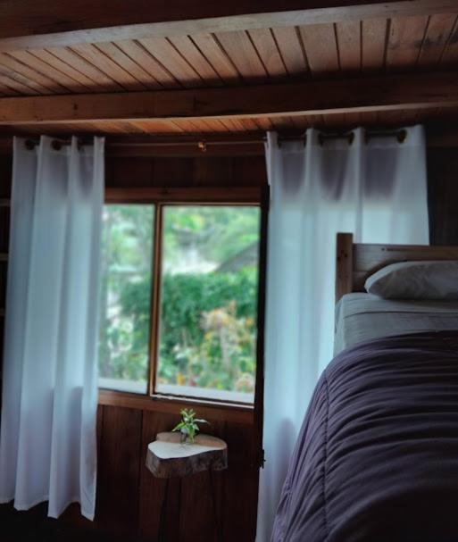 4-Bed Mixed Dormitory Room