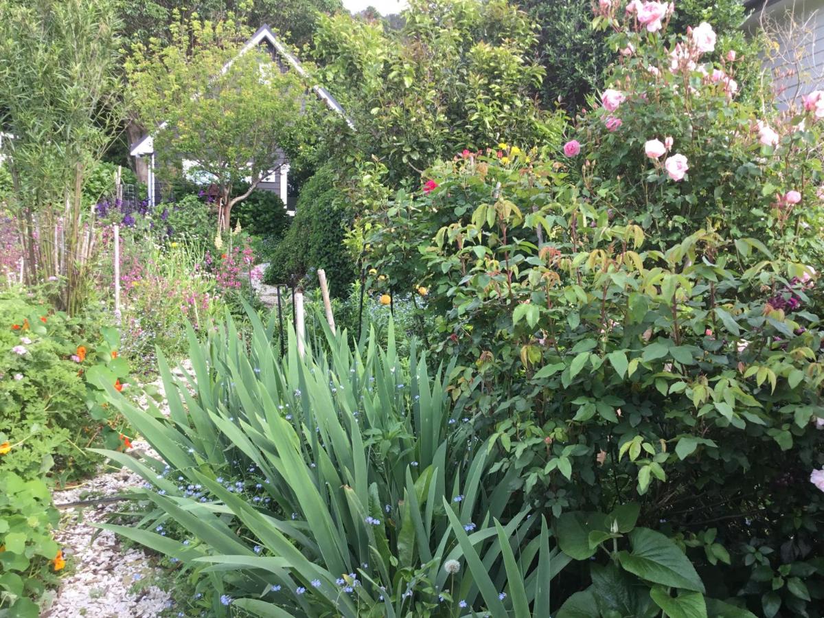 Hahei Kereru Cottage - B&B