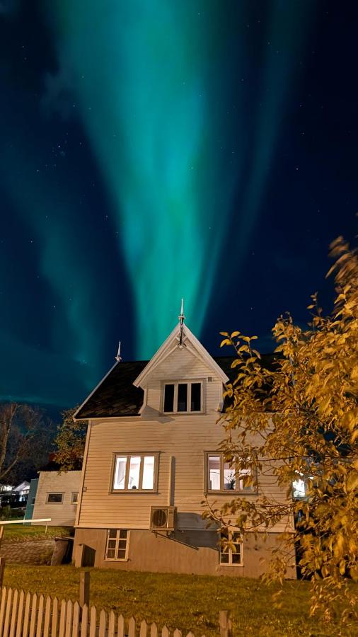 Villa Arctica - B&B