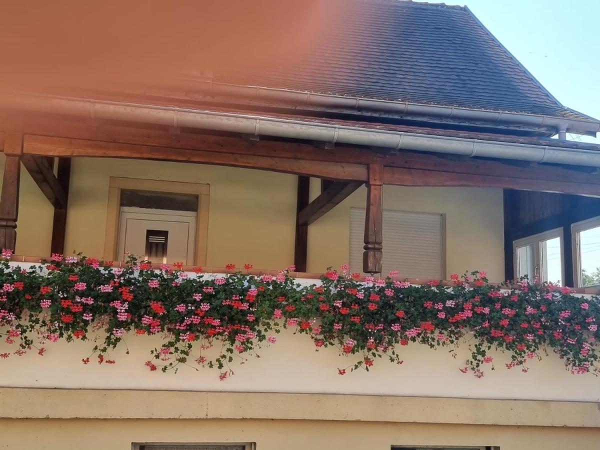 Gîte Le Ruisseau - Chambres d’hôtes