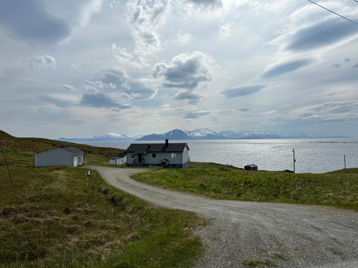 Aurora Mountain & Ocean House - B&B