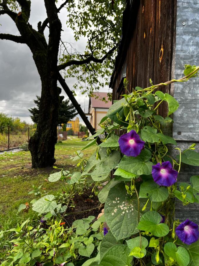 Domek na wsi kieleckiej - B&B Zborów