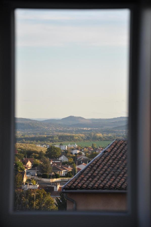 Maison du vigneron Saint-Martin - B&B
