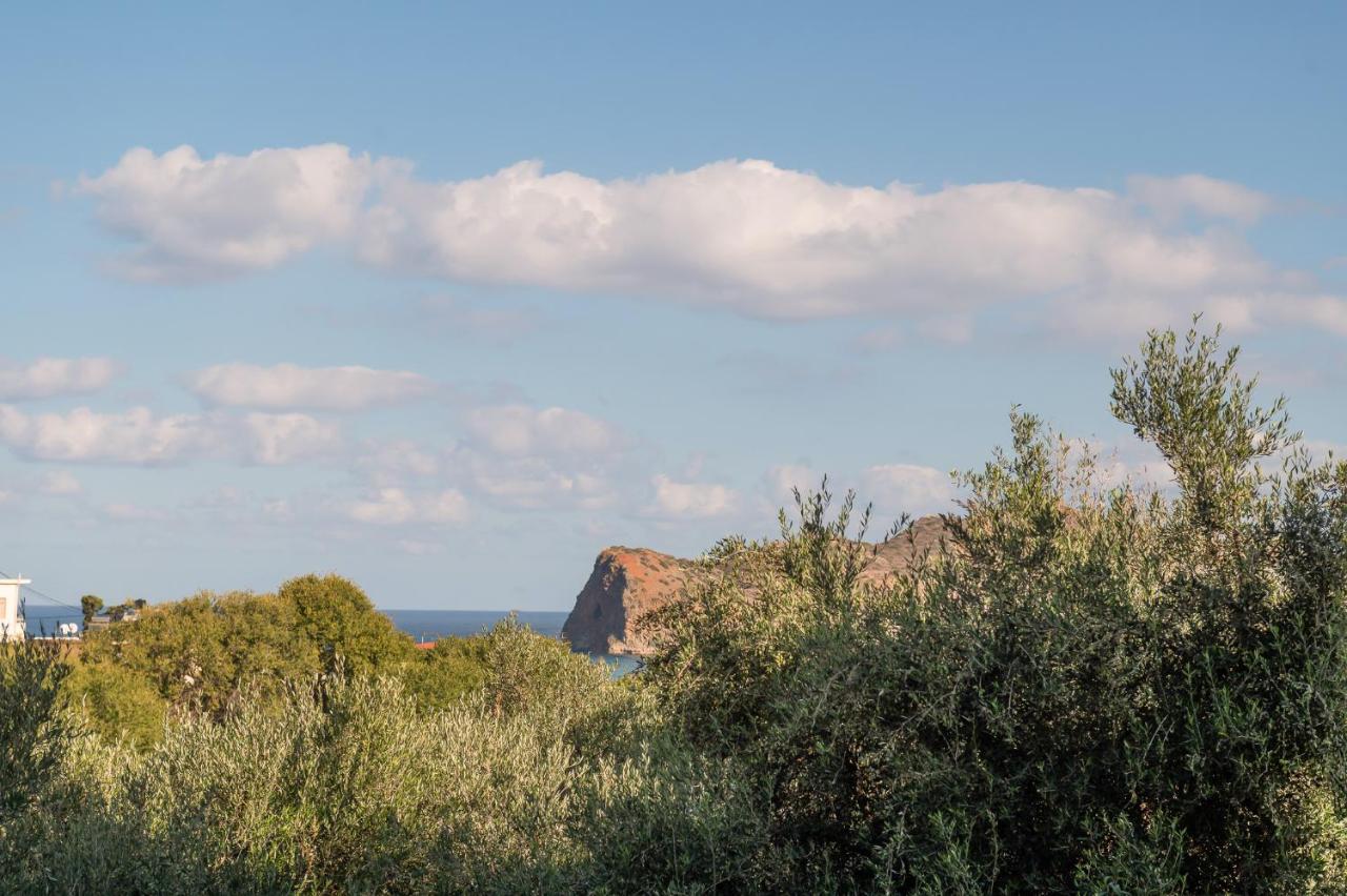Agia Marina OLIVE GREEN SUMMER LODGE - B&B