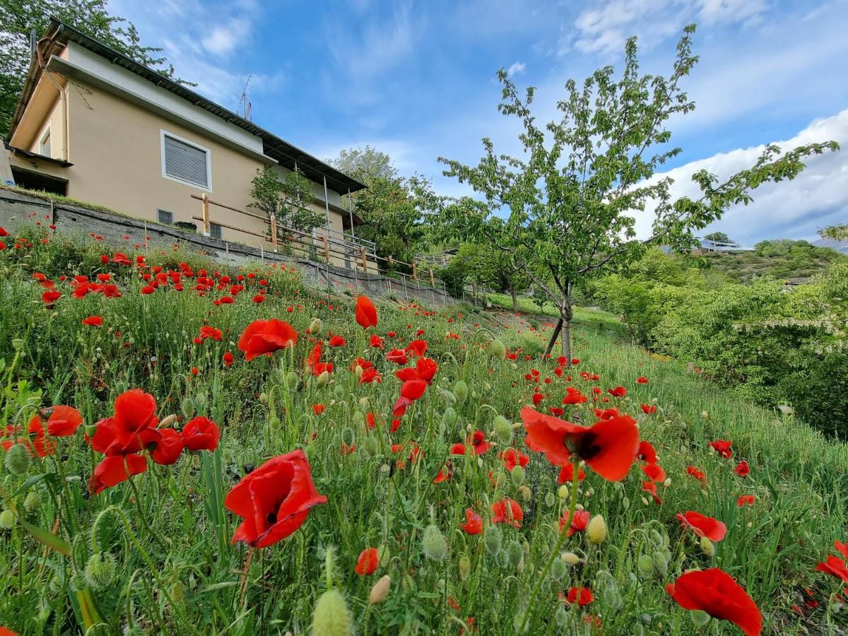 Casa Le Vignole - Aosta - B&B