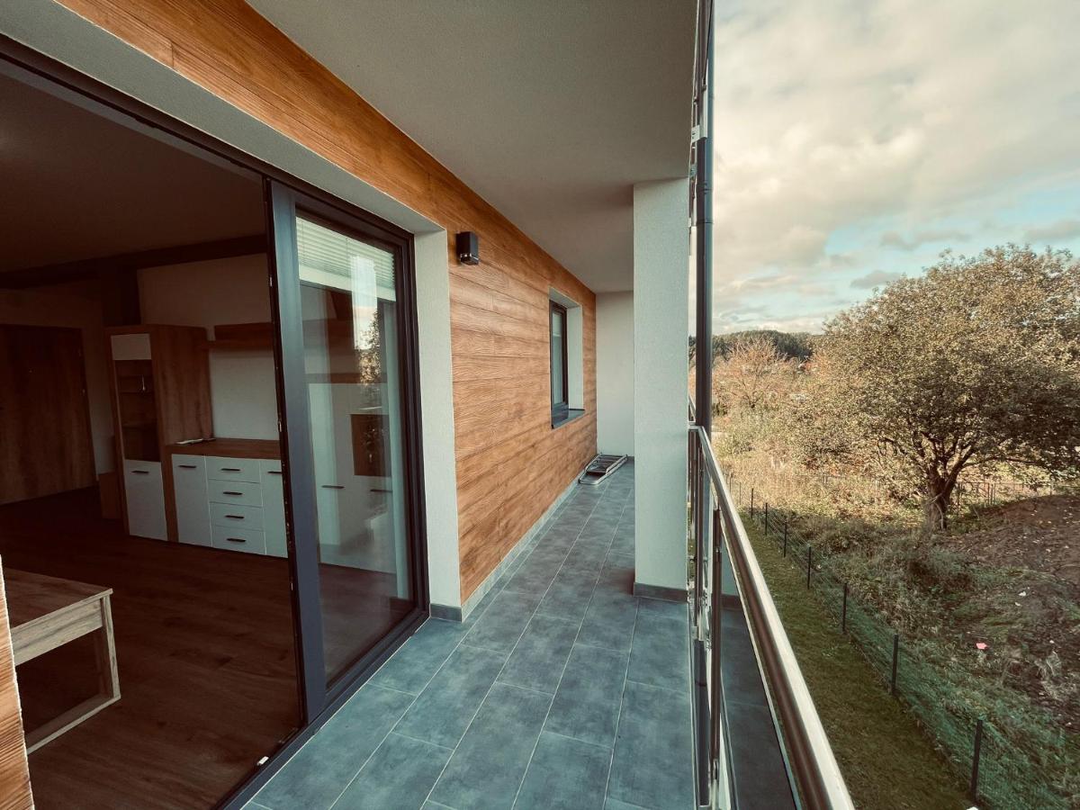 Apartament w Dolinie Sanu - B&B Lesko