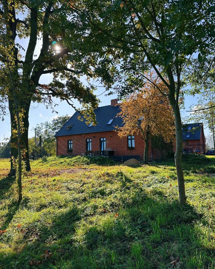 Dom w Młodzianowie - B&B