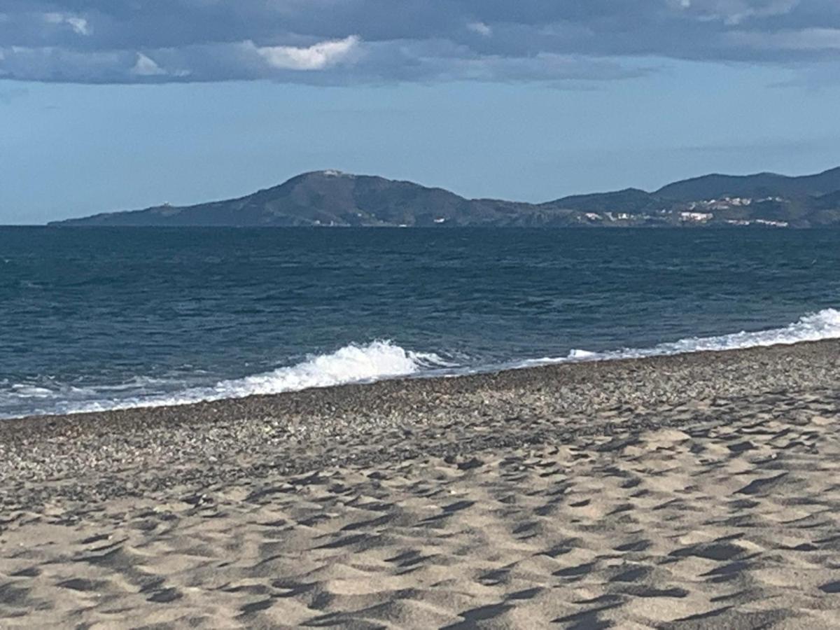 Le Corail Grand studio Vue mer avec loggia - Plage et port à 5 min à pied - parking privatif - Draps et ménage inclus - Bed and Breakfast Saint-Cyprien