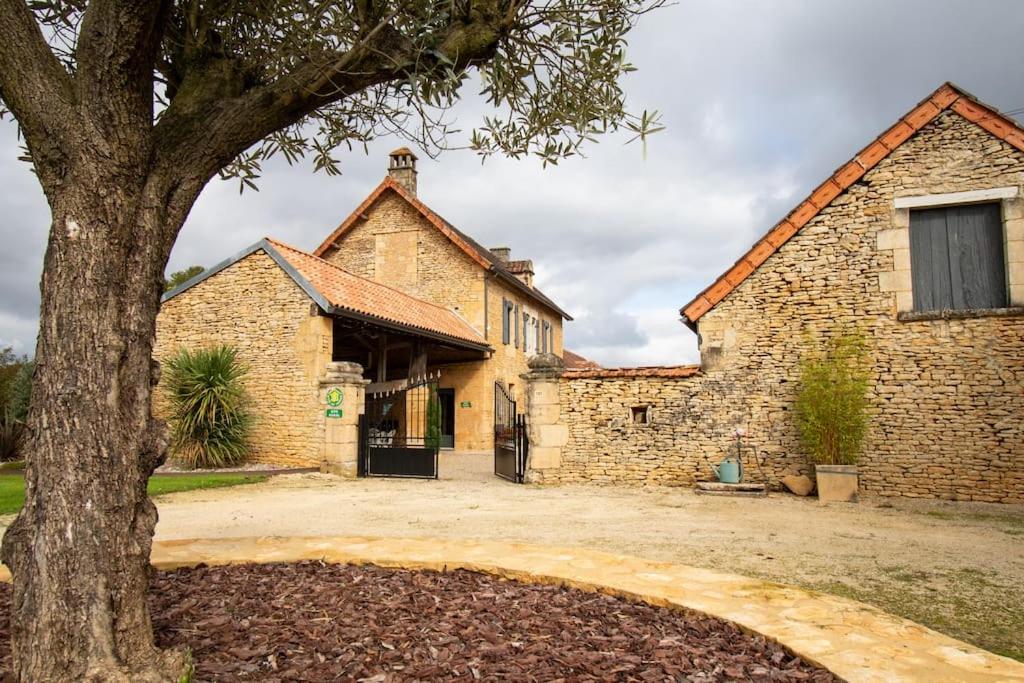 Chemin de l'Olivier - B&B