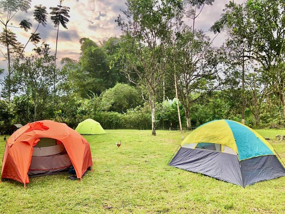 Finca Papa Angelito - B&B